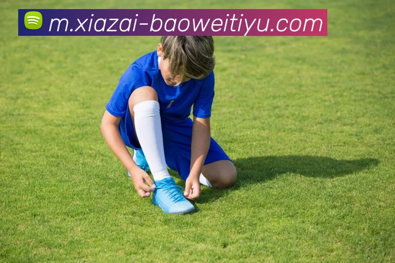 森林俱乐部未计划中断D路易斯租借买断可能性存疑